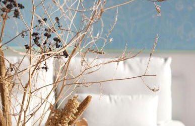 Le Parc des Mimosas - Foto 23