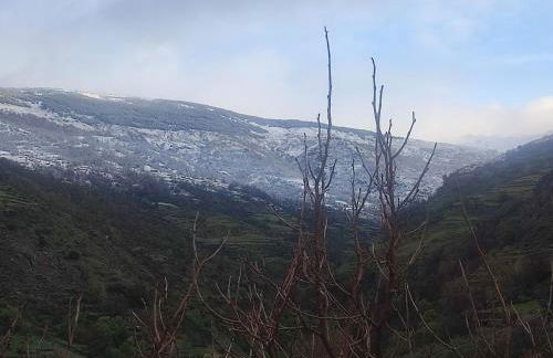 Casa Alpujarreña Fina Número 27 - Photo 48