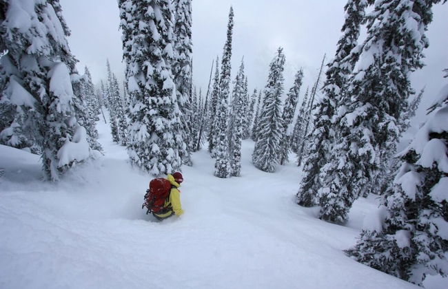 Snowy Mountain Lodge - Foto 11