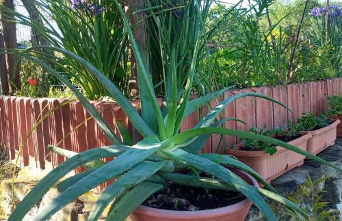 Casale Mansano - Natura e relax nelle colline - Photo 61