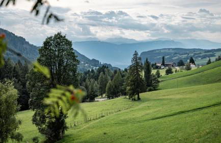 Aparthotel My Daum - Photo 79