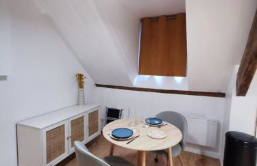 Les appartements du centre, refaits à neuf, climatisés, hyper centre, 50m à pieds des commerces, restaurants, parking gratuit - Foto 8