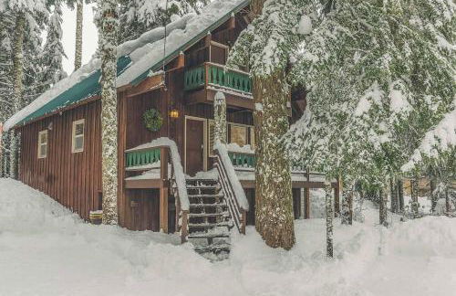 Moosewood Cabin - Meredith Lodging - Foto 1
