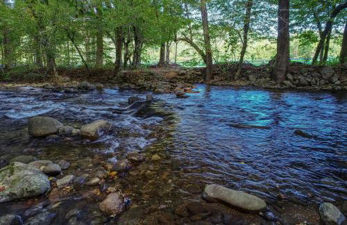 Sweet - 2 Bedrooms, 2 Baths, Sleeps 6 Cabin by RedAwning - Foto 45