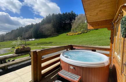 Bothy Cabin -Log cabin in wales - with hot tub - Foto 2