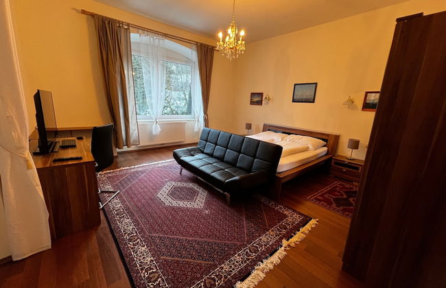 Villa Wellspacher - Renovated 19th Century Villa - Foto 6