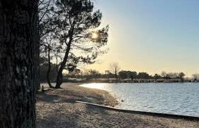 Maison proche du lac de Sanguinet et de Biscarrosse - Foto 13