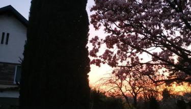 Jardin Fleuri - Foto 4