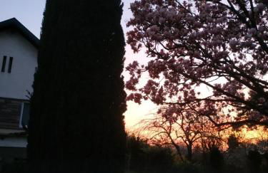 Jardin Fleuri - Foto 4