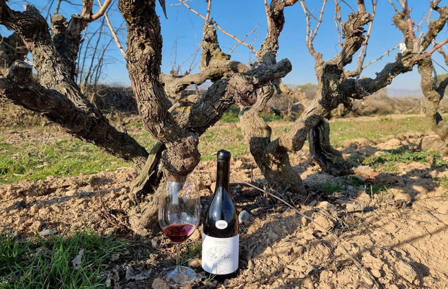 Tour in Algerri - Photo 7