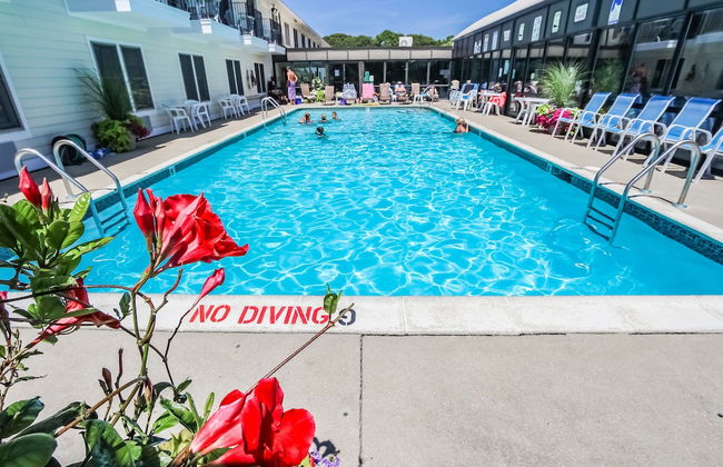 Holly Tree Resort - Foto 15