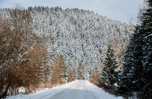 Apartamenty Maja - Foto 29