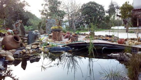 Chão da Lousa - Foto 5, Garden