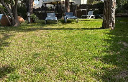 Villa Amparo con piscina privada - Photo 24