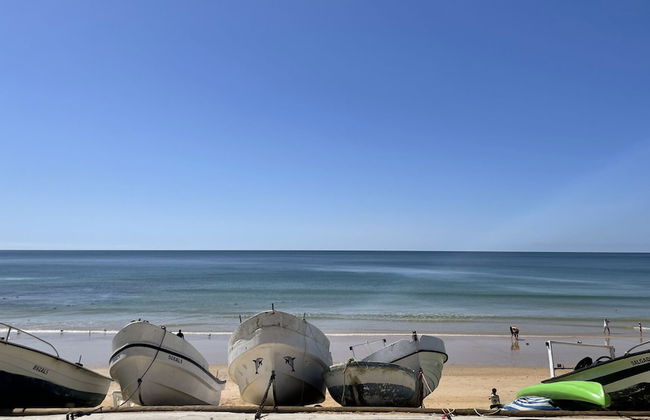 Azinheira CIP - Photo 43