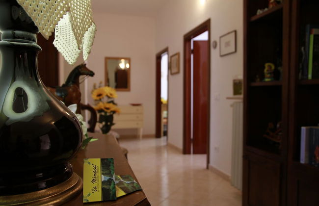 La Mimosa - Photo 43