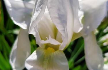 Artistika Golden Apartment - Foto 79