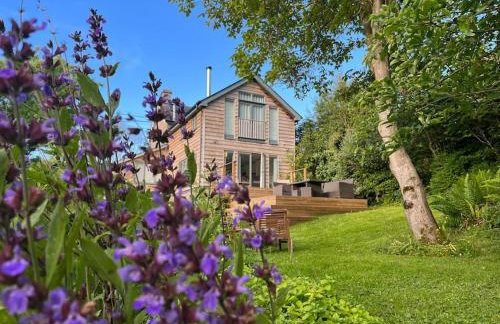 Luxury Cottage near Hay-on-Wye - Foto 66