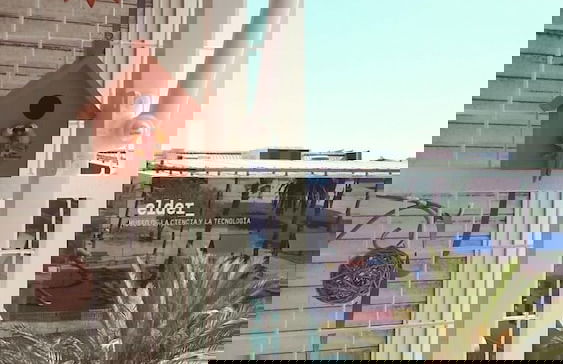 Santa Catalina Beach Flat by Canary365 - Photo 17