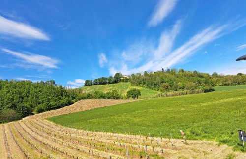 Casa Ninì - Holidays in Oltrepo - Foto 16