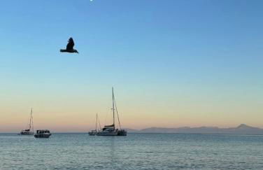 Delfinia Studios - Foto 6