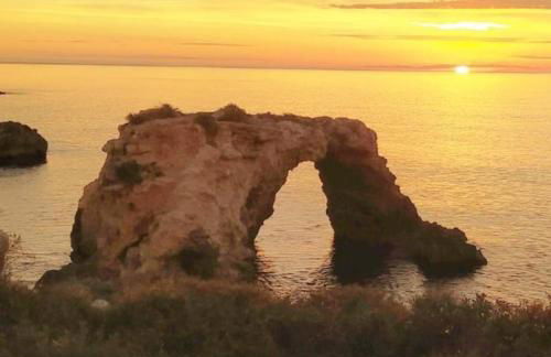 Il Campo Blu - Foto 46