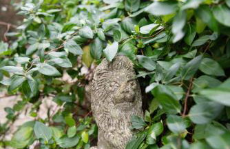 The Cottage, Mermaid Passage - Foto 25