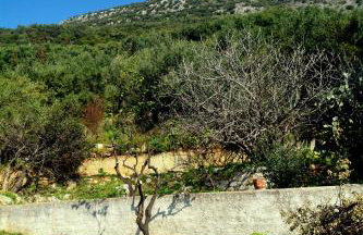 Nota apt 'vacations near the sea'1 - Foto 50