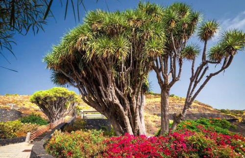 Casa Lucía - Foto 39