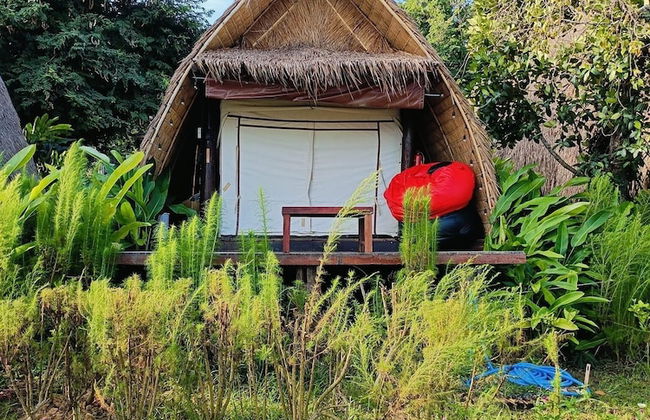 The Frog Cabana - Photo 7