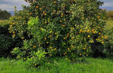 Casa do Alto (top floor apartment) - Foto 44