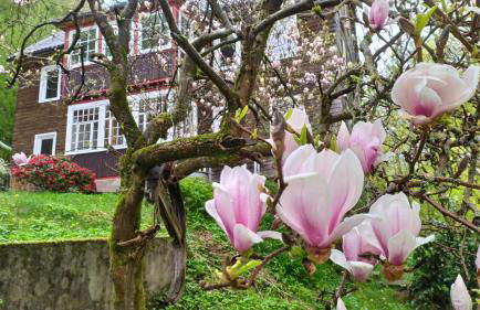 Haus am Wald Zorge 16+ Gäste - Foto 30