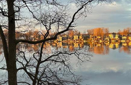 The Old Stone Cottage at Tippy - Foto 5