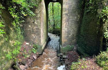 Tempo Manor Cabins - Foto 64