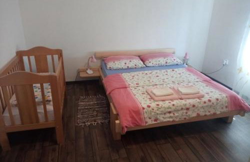 Apartment Gradina - Foto 21