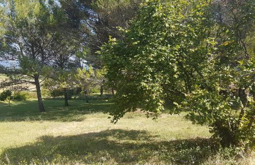 LES 3 HIRONDELLES - Foto 34