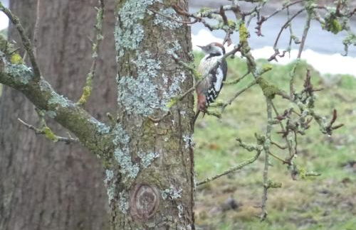 Ferienwohnung Wehner - Foto 14