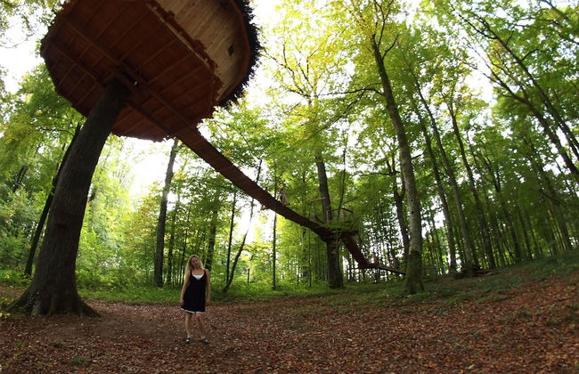 L'Arbre à Cabane - Foto 36