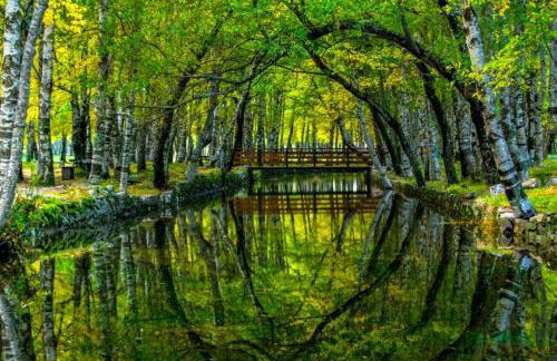 Casa Manuel II Sabugueiro - Foto 45