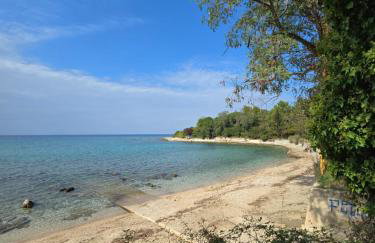 Marine Bliss - Foto 23