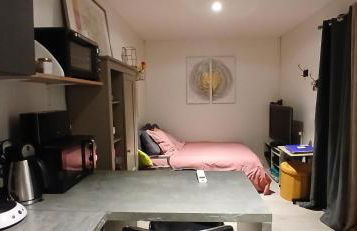 Studio 20m2 climatisation reversible 3 pers 2 animaux - Foto 21