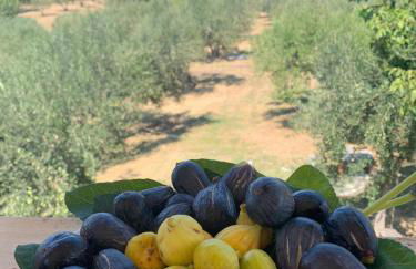Villa Fiorentina e la Costa dei Trabocchi - Foto 55