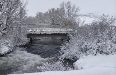 Bajo los nidos 2 - Foto 27