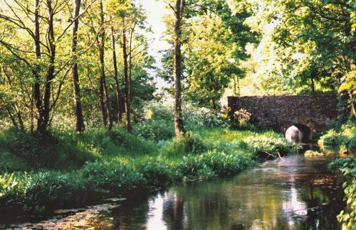 Little Thatch Cottage - Cerne Abbas, Dorset - Photo 22