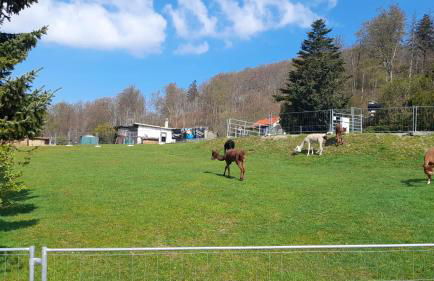 Bergpanorama Ruhla - Foto 52