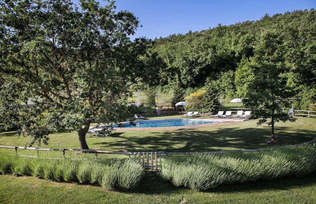 Verdidea - PODERE MONTI - Photo 71