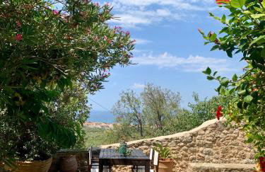 PositiveSpace Olive Tree - Foto 28