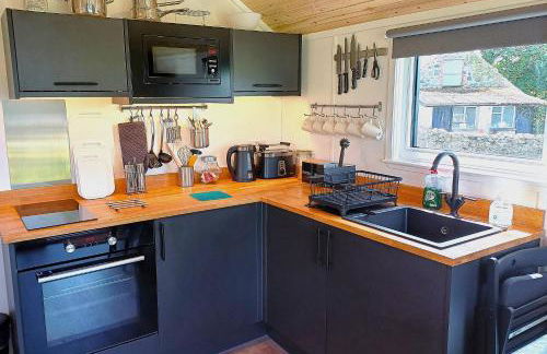CABIN 8 Pet friendly Family glamping Seaview - Photo 2