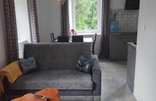 Apartamenty u Gołębiewskich - Foto 29