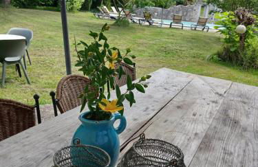 gîte 10 pers - Rimbes Casteljaloux - Foto 6